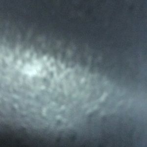 Meet your Posher, Winnie